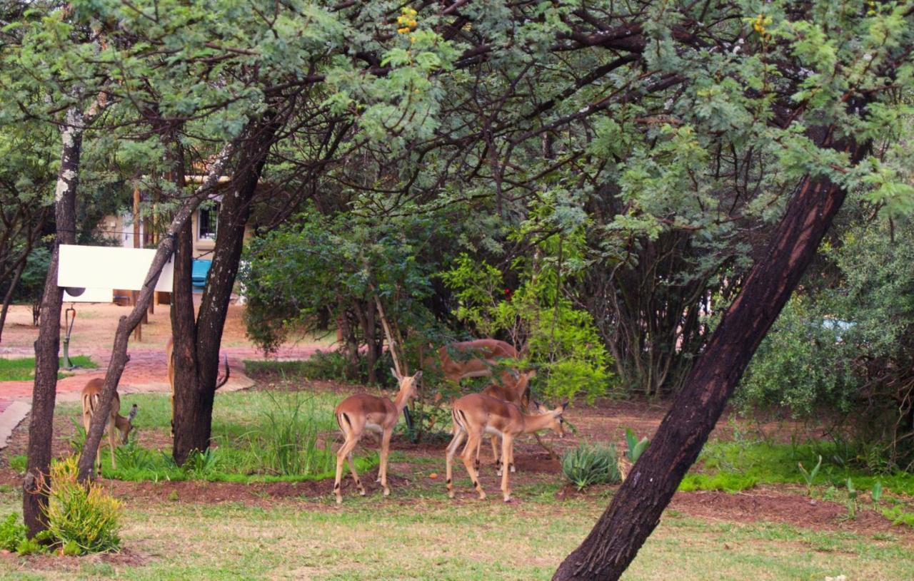 Suzie'S Loft - Nude - Suneden Family Naturist Resort Pretoria-Noord Exteriör bild